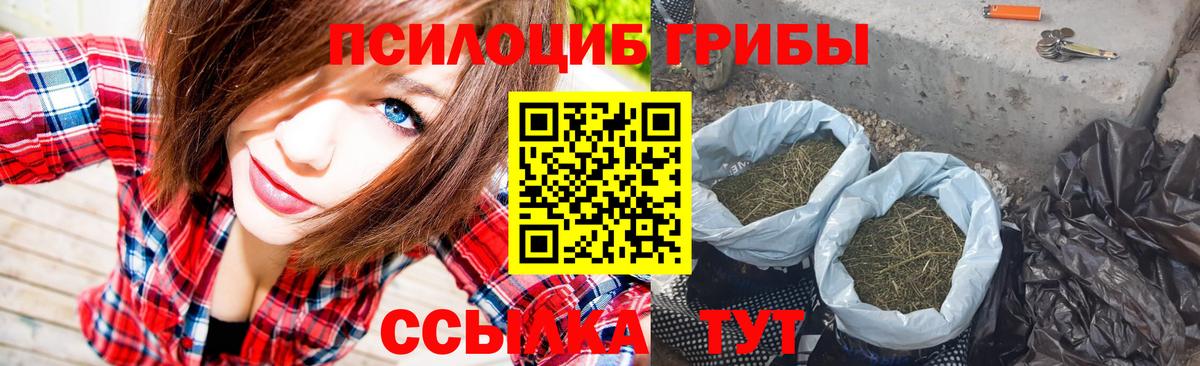 Псилоцибиновые грибы Psilocybe Норильск